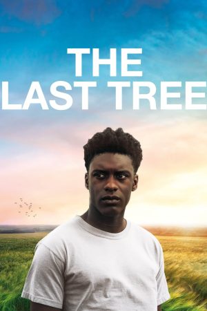 The Last Tree